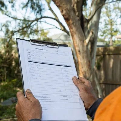 Reading a written tree removal quote on site in Toowoomba