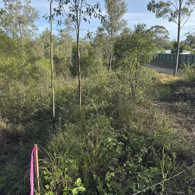 Before: Range lot clearing for a building permit, Glenvale, Toowoomba