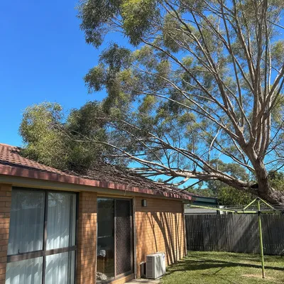 Before: Crown lift over a Kearneys Spring driveway, Toowoomba