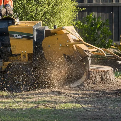 Stump Grinding in Toowoomba. Below-grade stump removal on Toowoomba clay soils. Walk-behind machines for narrow yards, tracked grinders for escarpment blocks and acreage stumps.