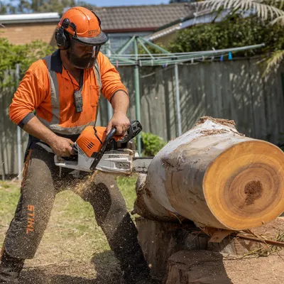 Tree Removal in Toowoomba. Safe take-down of dead, hazardous or unwanted trees on Toowoomba range blocks — bunya pines, camphor laurels, large gums and anything leaning toward a structure.
