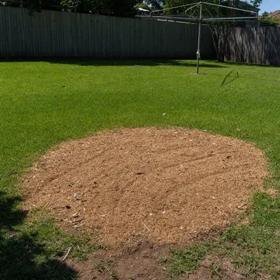 Chips left on site as mulch, Toowoomba