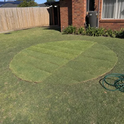 Stump ground flush and below, Toowoomba